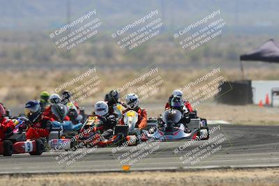 media/Mar-30-2025-Pro Autosports (Sun) [[34ff8f16e0]]/6-Purple Group/Main Race/